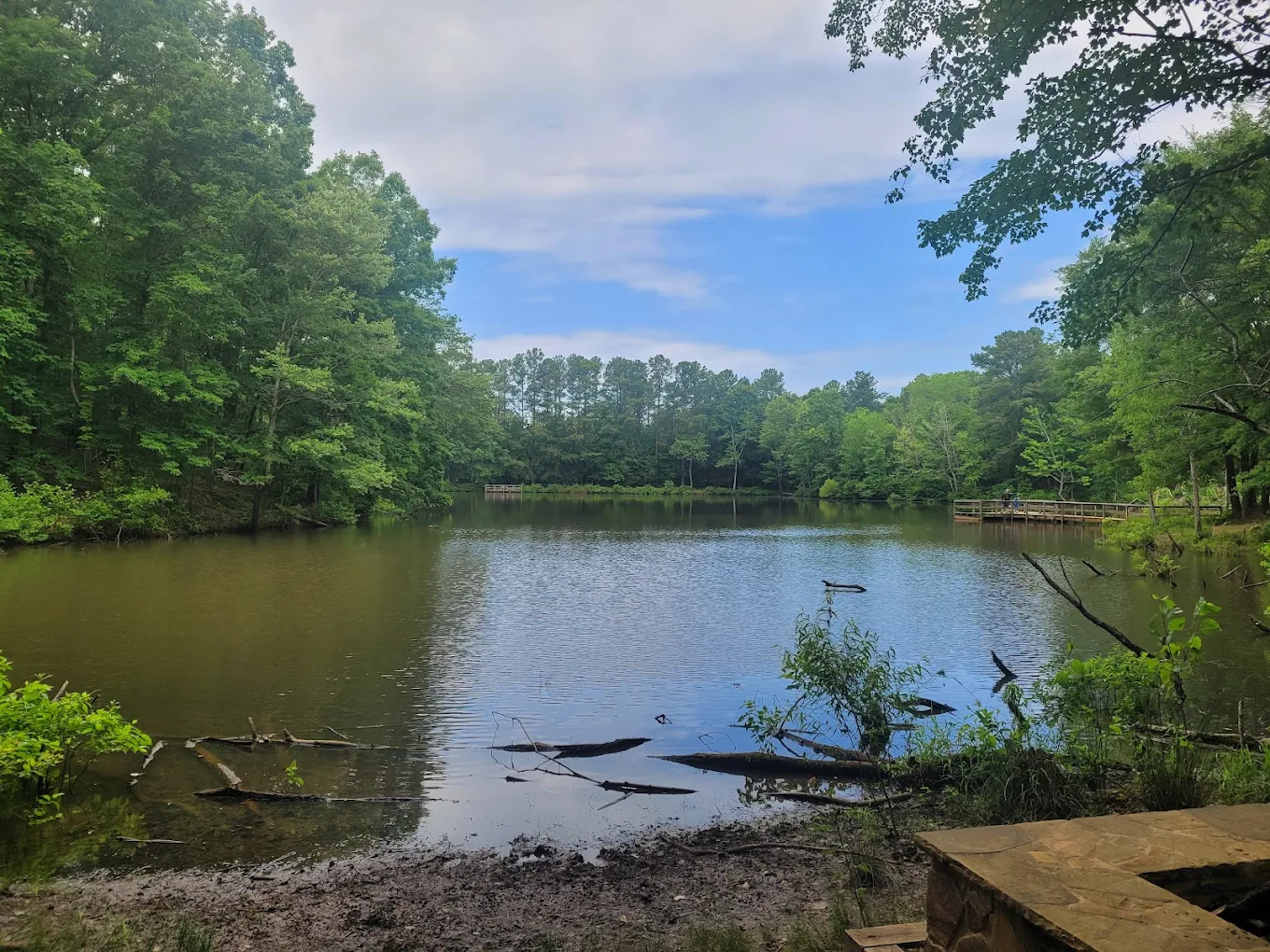 Anne Springs Close Greenway - Adventure Road